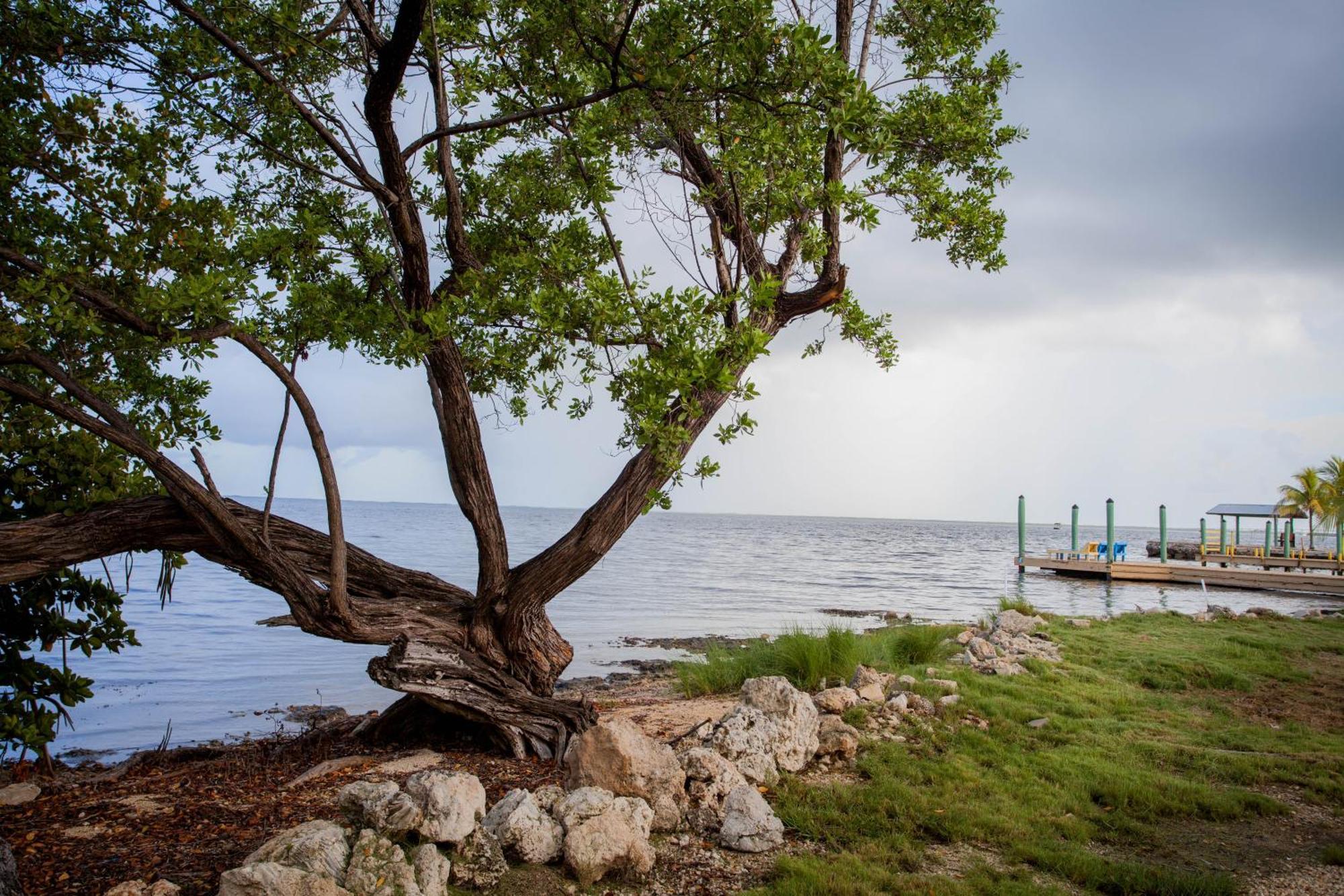 Kings Kamp Hotel Key Largo Kültér fotó