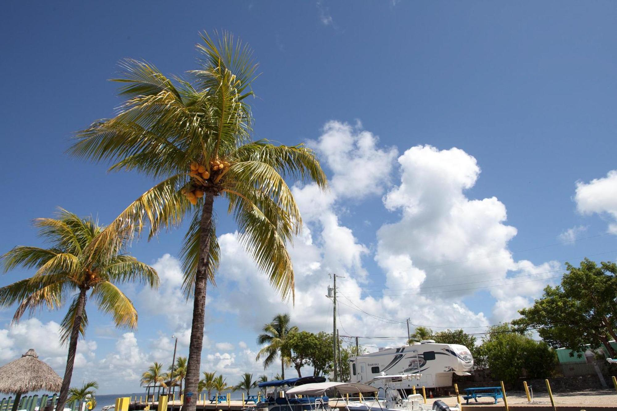 Kings Kamp Hotel Key Largo Kültér fotó